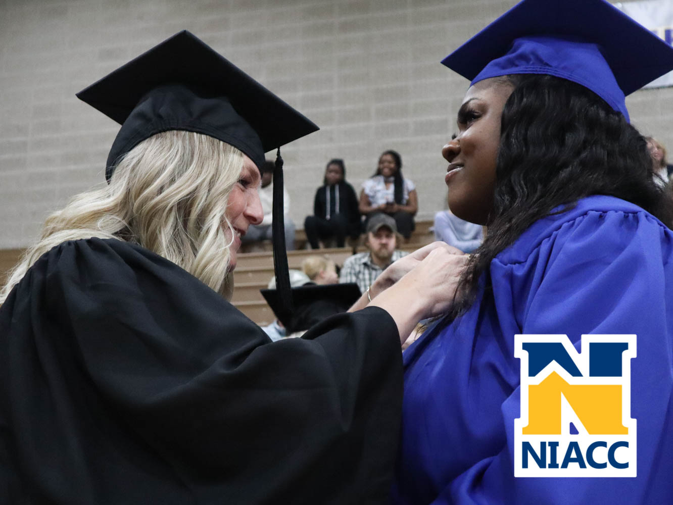 niacc_pinning-24