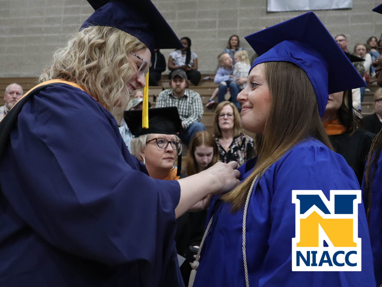 niacc_pinning-9